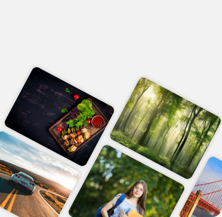 freedom Section image