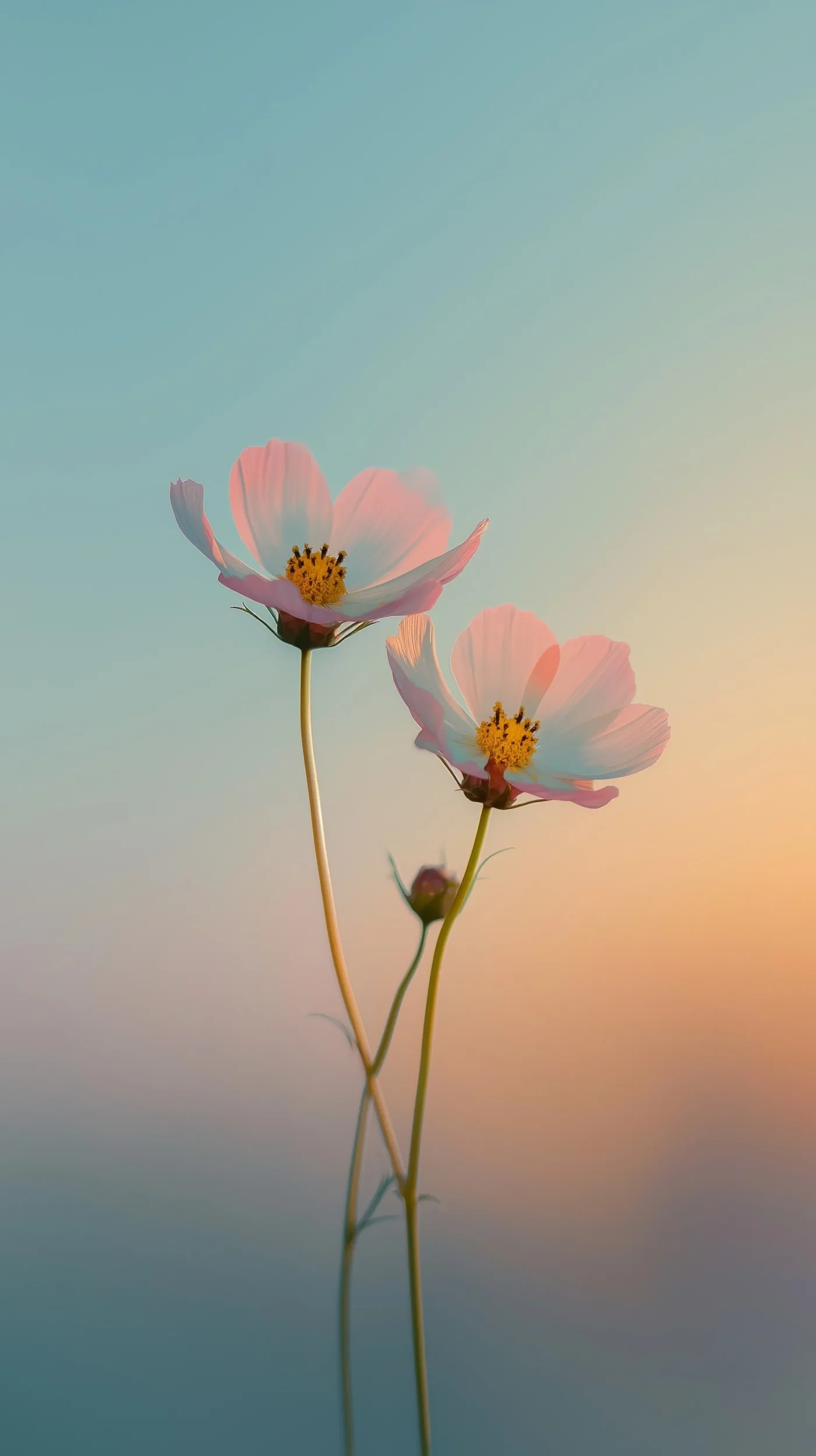 Soft Pastel Flower Wallpaper: 25+ Aesthetic 4K Mobile Backgrounds