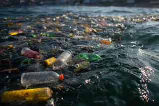 Ocean Pollution: 29+ Images of Plastic Bottles on Beaches